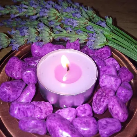 Lavanda M * Trebin
