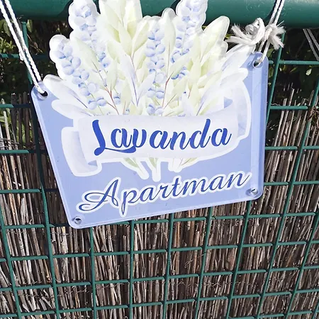 Lavanda M *