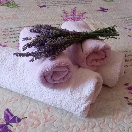Daire Lavanda M Trebin