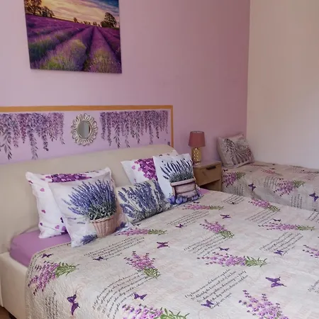 Lavanda M *