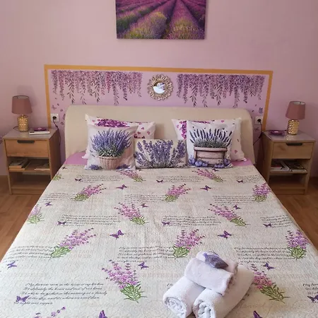 Lavanda M Daire